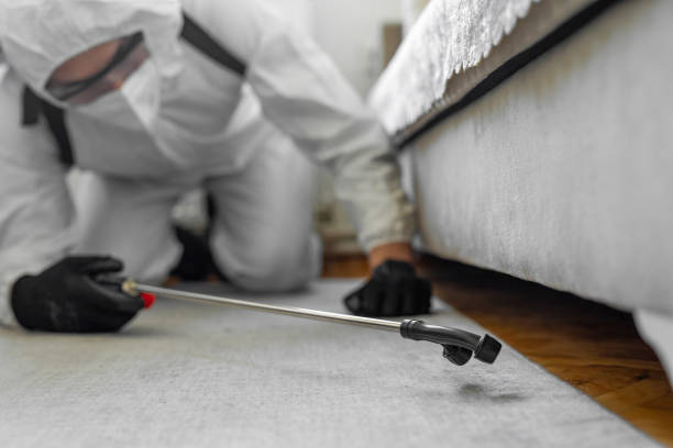 Professional Bed Bug Control technician working in West Haverstraw, NY