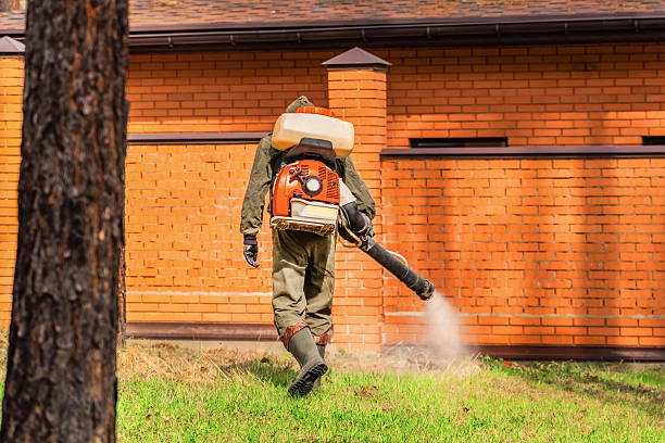 Trusted Cockroach Control service in West Haverstraw, NY - Nex Pest Control